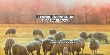 İstanbul Kurbanlık Fiyatları 2025