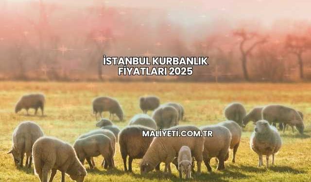 İstanbul Kurbanlık Fiyatları 2025