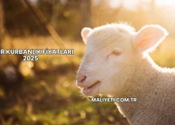 İzmir Kurbanlık Fiyatları 2025