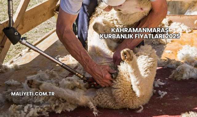Kahramanmaraş Kurbanlık Fiyatları 2025