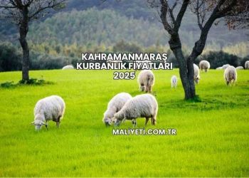 Kahramanmaraş Kurbanlık Fiyatları 2025