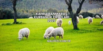 Kahramanmaraş Kurbanlık Fiyatları 2025