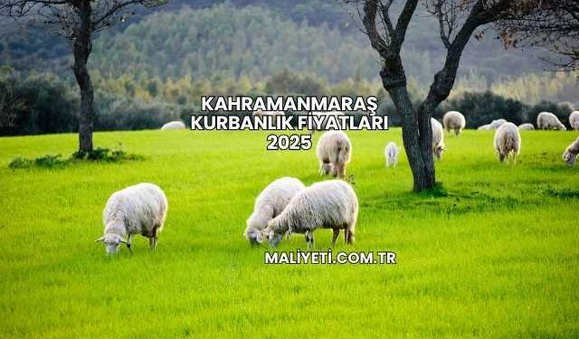 Kahramanmaraş Kurbanlık Fiyatları 2025