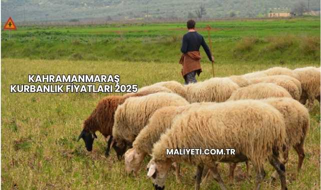 Kahramanmaraş Kurbanlık Fiyatları 2025