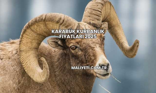 Karabük Kurbanlık Fiyatları 2025