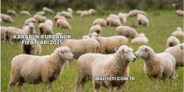 Karabük Kurbanlık Fiyatları 2025