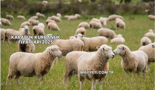 Karabük Kurbanlık Fiyatları 2025