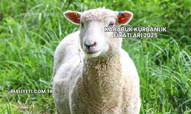 Karabük Kurbanlık Fiyatları 2025