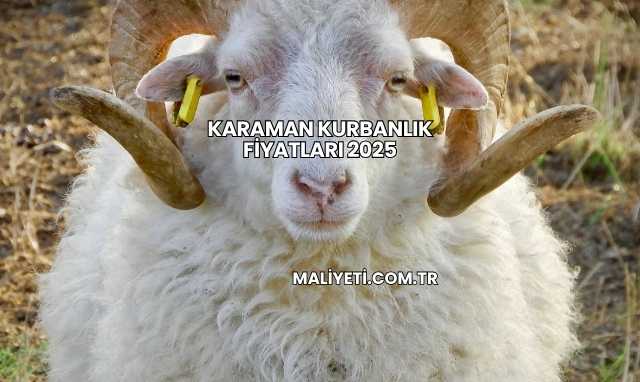 Karaman Kurbanlık Fiyatları 2025