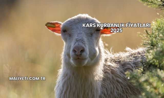 Kars Kurbanlık Fiyatları 2025