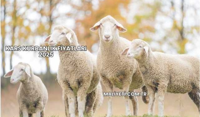 Kars Kurbanlık Fiyatları 2025