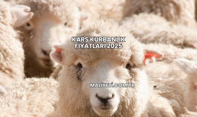 Kars Kurbanlık Fiyatları 2025