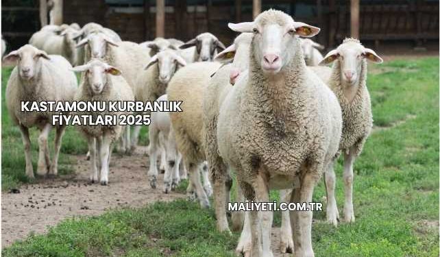 Kastamonu Kurbanlık Fiyatları 2025