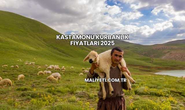 Kastamonu Kurbanlık Fiyatları 2025