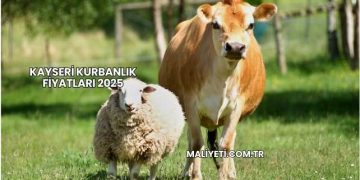 Kayseri Kurbanlık Fiyatları 2025
