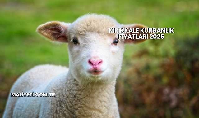 Kırıkkale Kurbanlık Fiyatları 2025
