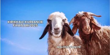 Kırıkkale Kurbanlık Fiyatları 2025