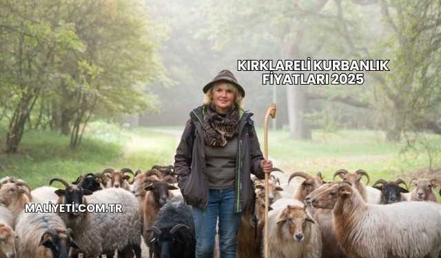 Kırklareli Kurbanlık Fiyatları 2025