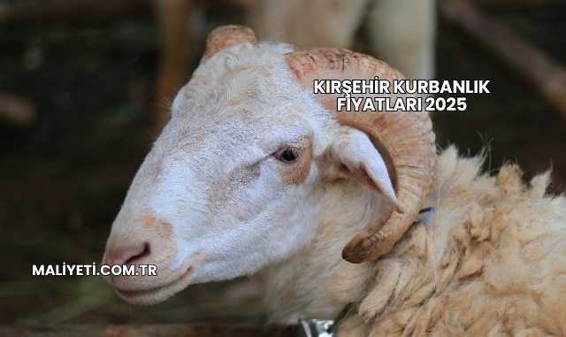 Kırşehir Kurbanlık Fiyatları 2025
