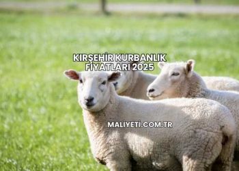 Kırşehir Kurbanlık Fiyatları 2025