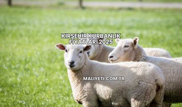 Kırşehir Kurbanlık Fiyatları 2025