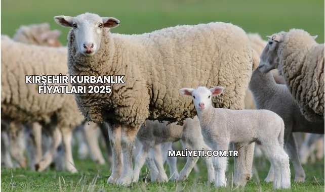 Kırşehir Kurbanlık Fiyatları 2025