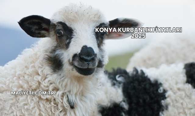 Konya Kurbanlık Fiyatları 2025