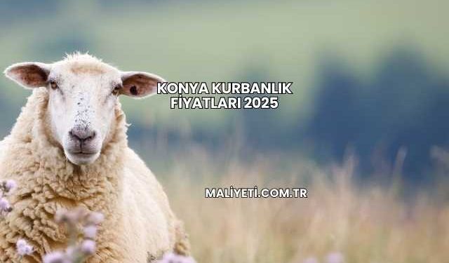 Konya Kurbanlık Fiyatları 2025