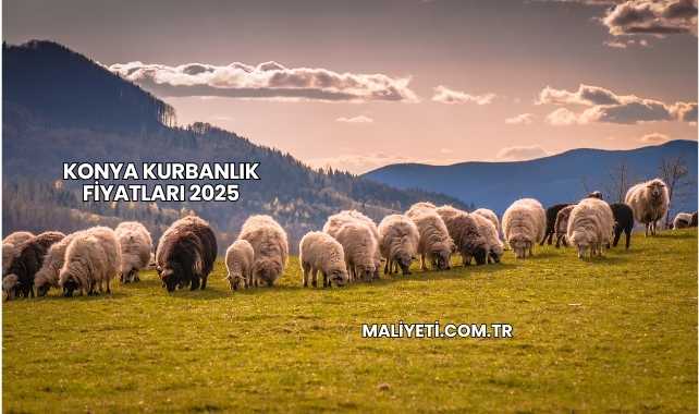 Konya Kurbanlık Fiyatları 2025