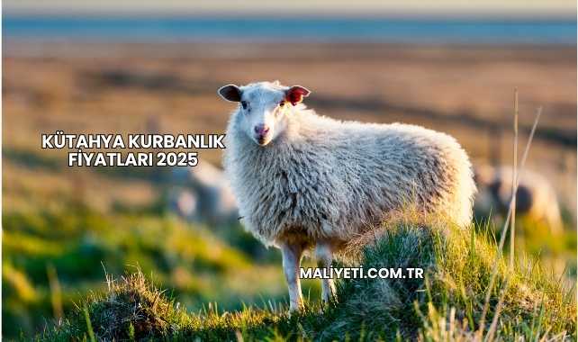 Kütahya Kurbanlık Fiyatları 2025