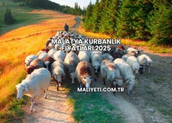 Malatya Kurbanlık Fiyatları 2025