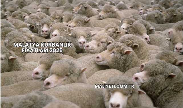 Malatya Kurbanlık Fiyatları 2025