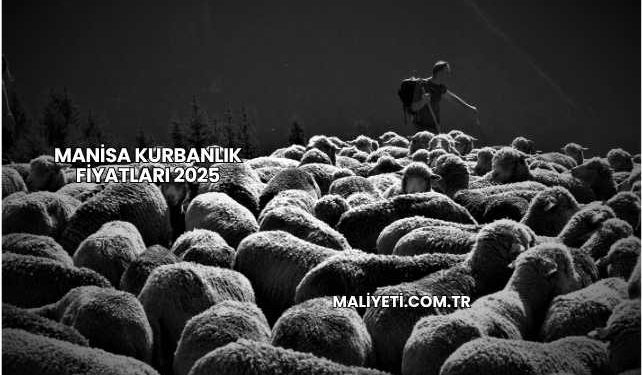 Manisa Kurbanlık Fiyatları 2025