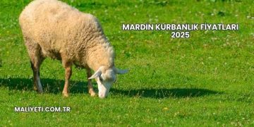 Mardin Kurbanlık Fiyatları 2025