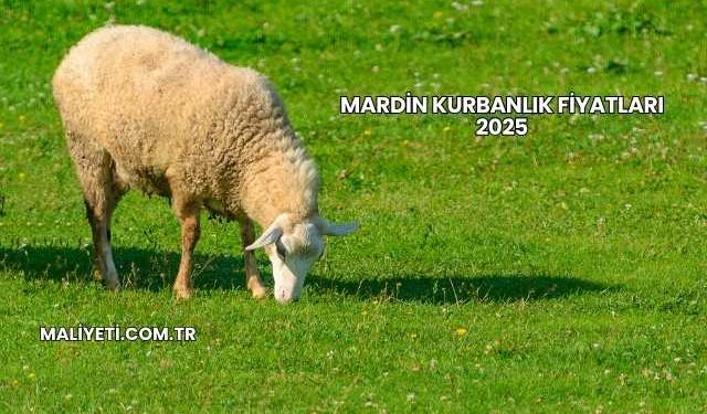 Mardin Kurbanlık Fiyatları 2025