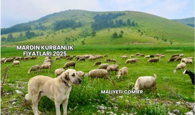 Mardin Kurbanlık Fiyatları 2025