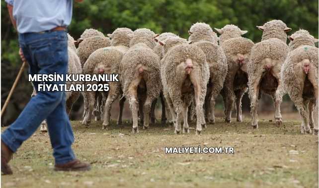 Mersin Kurbanlık Fiyatları 2025