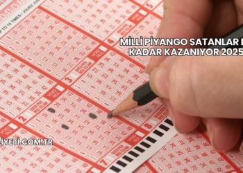 Milli Piyango Satanlar Ne Kadar Kazanıyor 2025