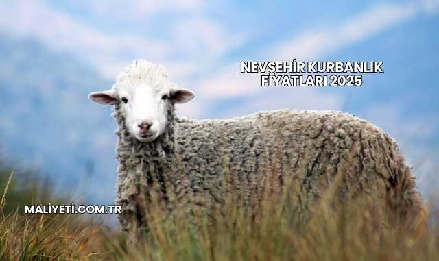 Nevşehir Kurbanlık Fiyatları 2025
