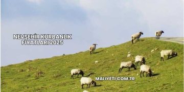 Nevşehir Kurbanlık Fiyatları 2025