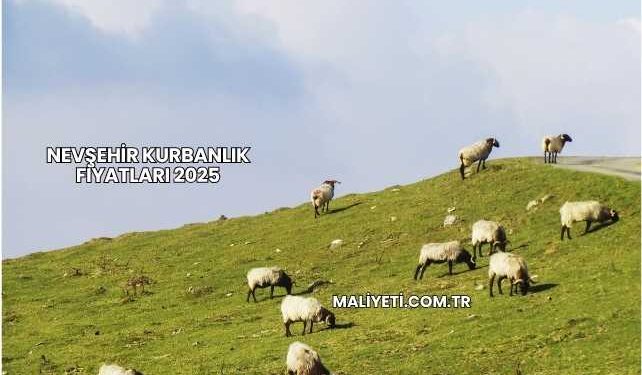 Nevşehir Kurbanlık Fiyatları 2025
