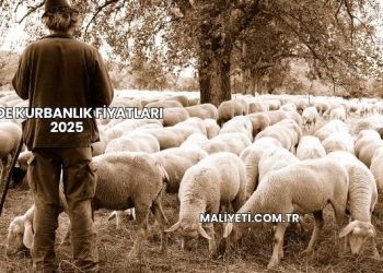 Niğde Kurbanlık Fiyatları 2025