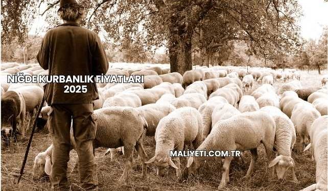 Niğde Kurbanlık Fiyatları 2025