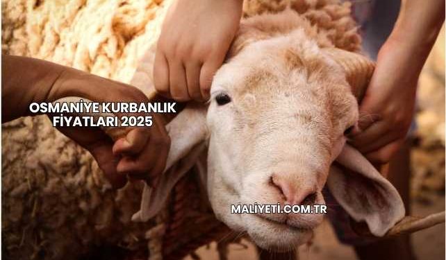 Osmaniye Kurbanlık Fiyatları 2025