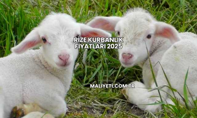 Rize Kurbanlık Fiyatları 2025