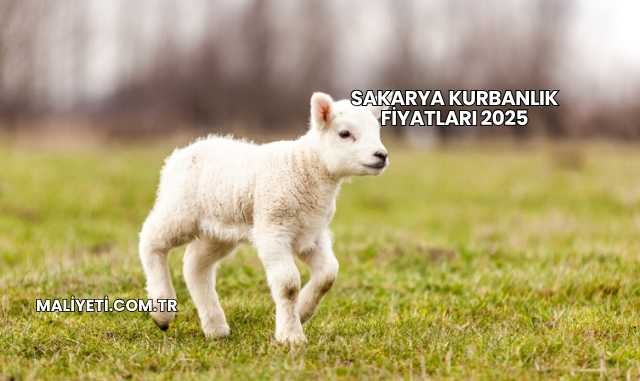 Sakarya Kurbanlık Fiyatları 2025