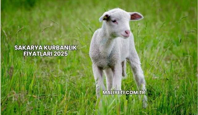 Sakarya Kurbanlık Fiyatları 2025