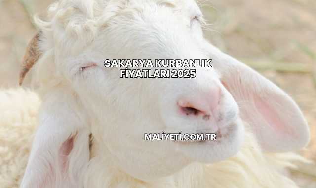 Sakarya Kurbanlık Fiyatları 2025