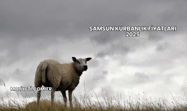 Samsun Kurbanlık Fiyatları 2025