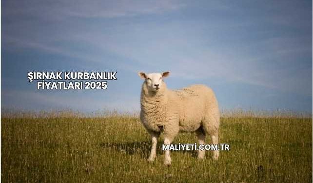 Şırnak Kurbanlık Fiyatları 2025